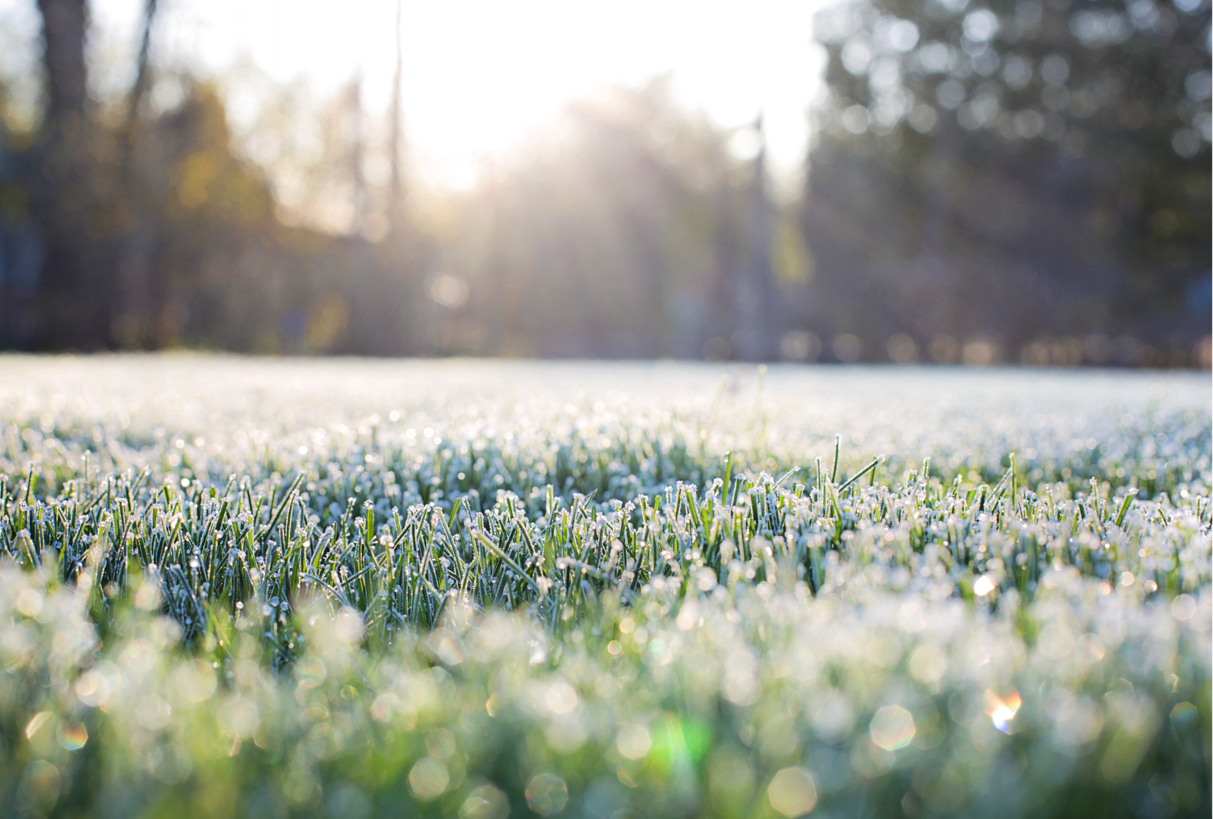 B3F78C29-905B-437C-94CF-C6AA62C96BF1